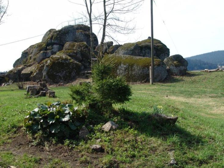 Chata Cert Josefuv Dul Exterior photo